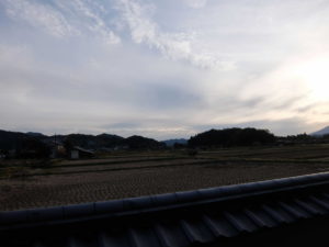 field-of-asuka
